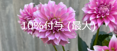 花工場 港北ニュータウンセンター南店 神奈川県横浜市都筑区荏田東 観葉植物小売業 Yahoo ロコ